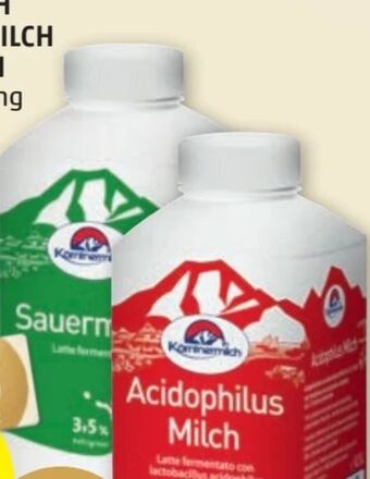 PENNY Acidophilus milch Angebot