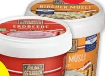 PENNY Fruchtjoghurt Angebot