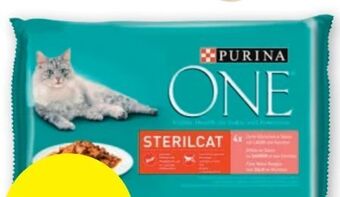 PENNY One katzennahrung Angebot