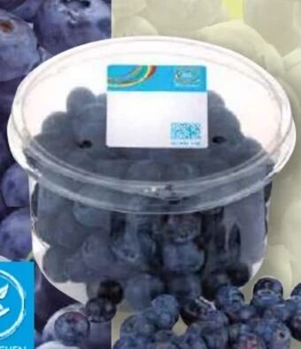 Norma Heidelbeeren Angebot