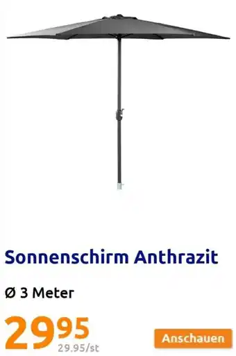 Action Sonnenschirm Anthrazit Ø 3 Meter Angebot