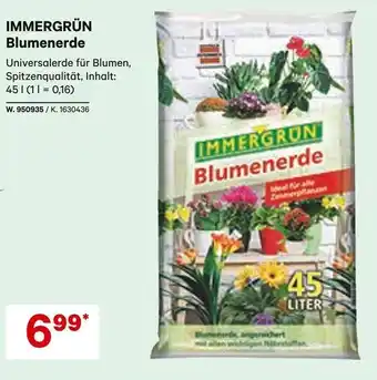 Lagerhaus Immergrün Blumenerde Angebot