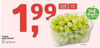 ADEG Trauben Weiß Viktoria Angebot