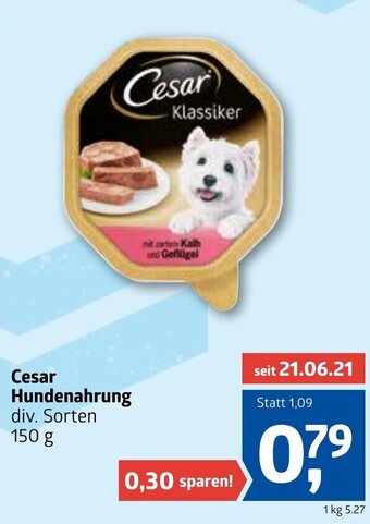 ADEG Cesar Hundenahrung 150 g Angebot