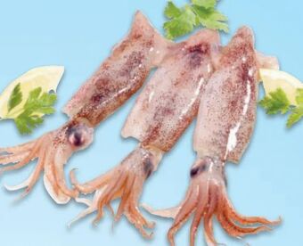 Metro Kalmar Angebot