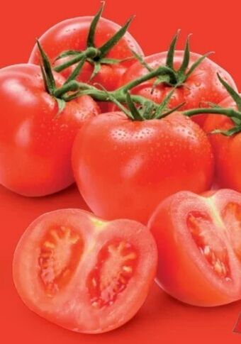 Hofer Rispentomaten Angebot