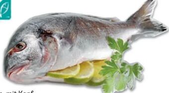 Metro Goldbrasse Angebot