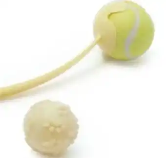 Hunde holspielzeug