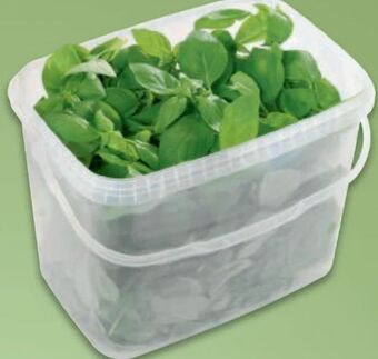 Metro Basilikum Angebot