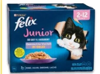 Metro Felix katzennassnahrung Angebot