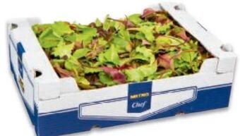 Metro Wildkräutersalat Angebot