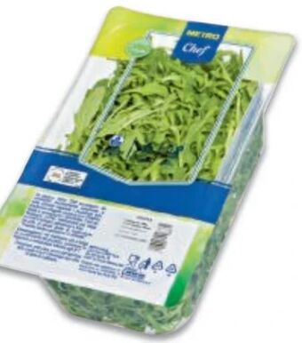 Metro Salat rucola Angebot