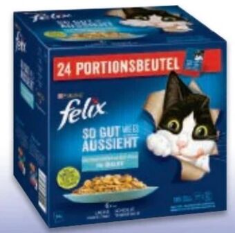 Metro Felix katzennassnahrung Angebot