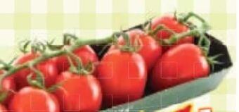 Maximarkt Tomaten Angebot