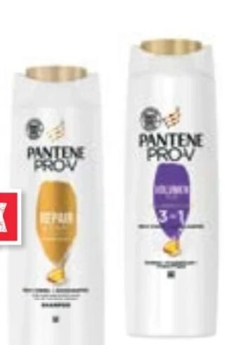 Maximarkt Shampoo Angebot
