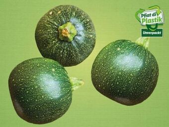 Lidl Zucchini rund Angebot