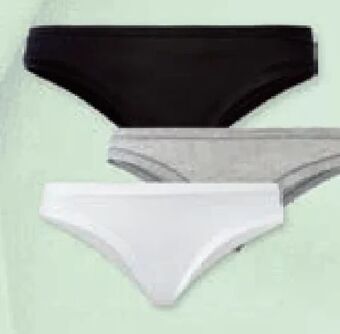 Lidl Damen-slip Angebot