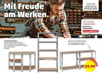 PENNY SCHWERLASTREGAL* pro Stück Angebot