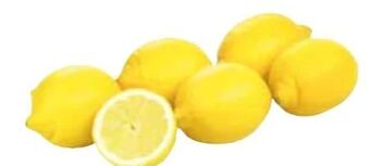 Transgourmet Bio zitronen Angebot