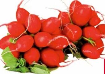 Transgourmet Radieschen Angebot