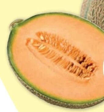 PENNY Zuckermelone Angebot