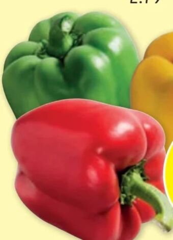 PENNY Paprika tricolore Angebot
