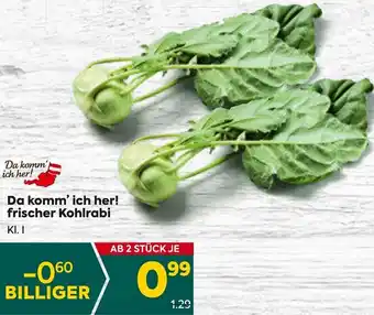 Billa Da komm' ich her! frischer Kohlrabi KI. I Angebot