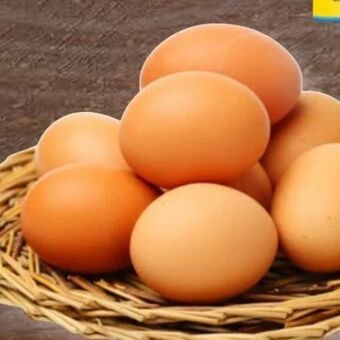 Spar Eier Angebot