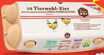 Hofer Eier Angebot