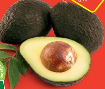 Hofer Iss reif! avocados Angebot