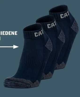 Hofer Herren arbeitssocken Angebot