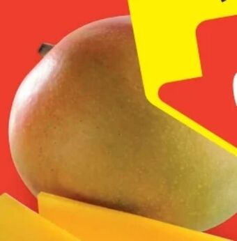 Hofer Iss reif! mango Angebot
