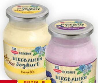 Billa Berghof joghurt Angebot