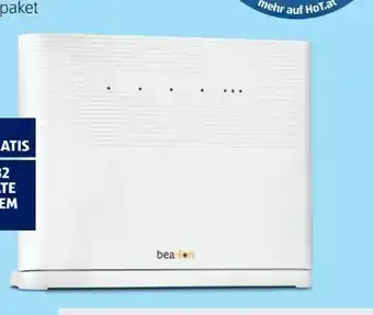 Hofer Hot wlan-router cat Angebot