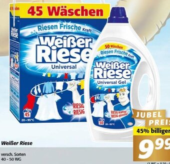 Nah&Frisch Weißer Riese versch. Sorten 40 - 50 WG Angebot