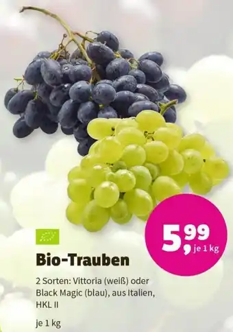 Denn's Biomarkt Bio-Trauben 2 Sorten: Vittoria (weiß) oder Black Magic (blau), aus Italien, HKL II je 1 kg Angebot