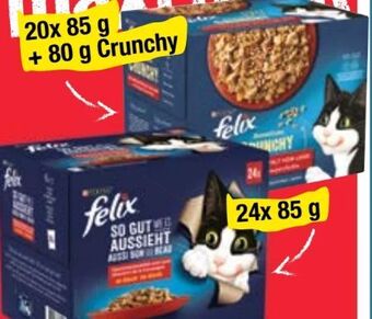 Maximarkt Felix katzennahrung Angebot