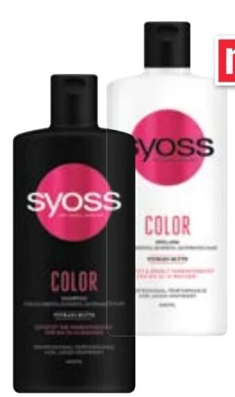 Maximarkt Shampoo Angebot