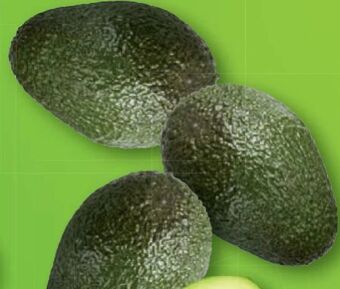 Lidl Avocado hass Angebot