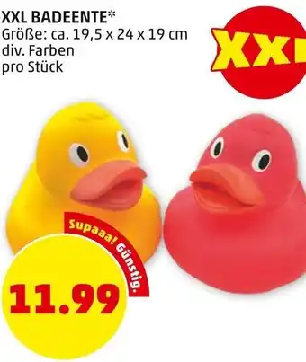 PENNY XXL BADEENTE* Größe: ca. 19,5 x 24 x 19 cm div. Farben pro Stück Angebot