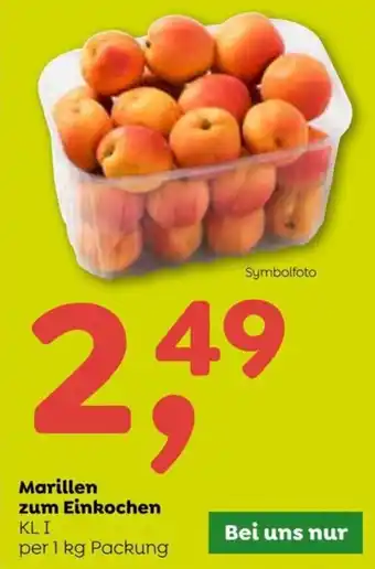 ADEG Marillen zum Einkochen KLI per 1 kg Packung Angebot