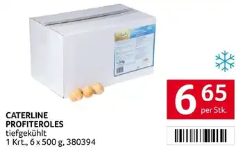 Transgourmet CATERLINE PROFITEROLES tiefgekühlt per Stk. Angebot
