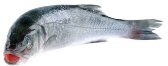 Transgourmet Wolfsbarsch Angebot