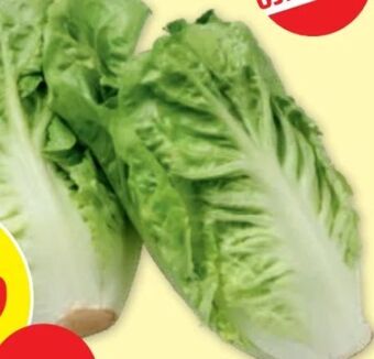 PENNY Salatherzen Angebot