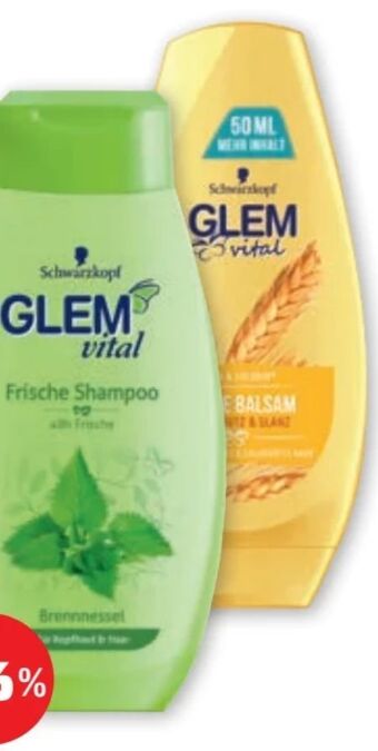 PENNY Glem vital shampoo Angebot