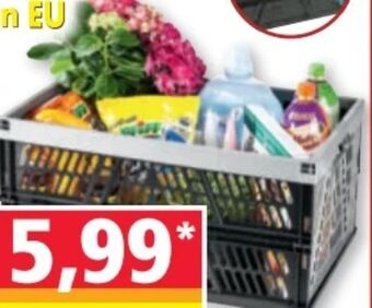 Norma Klappbox Angebot