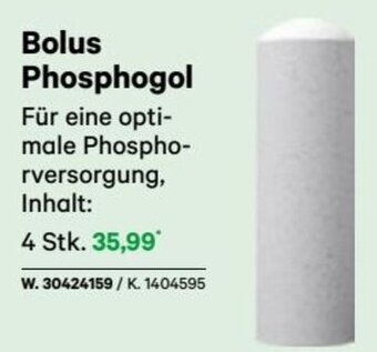 Lagerhaus Bolus Phosphogol 4 Stk. Angebot