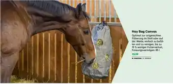 Lagerhaus Hay Bag Canvas Angebot