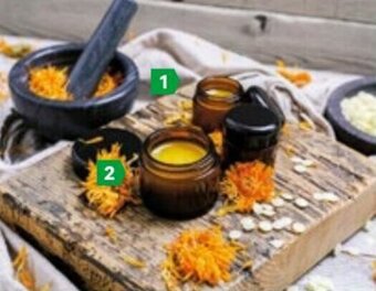 Lagerhaus HERBSLINE Salbentiegel-Set Packungsinhalt: 20 Stk., exkl. Deckel, Fassungsvermögen: 20x30 ml Angebot