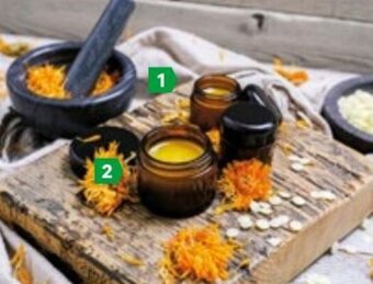 Lagerhaus HERBSLINE Salbentiegel-Set Packungsinhalt: 20 Stk., exkl. Deckel, Fassungsvermögen: 20x50 ml Angebot